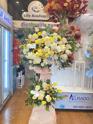 08d44c216c62aa3cf373 - Copy