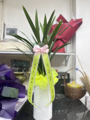 095760ba796ea130f87f