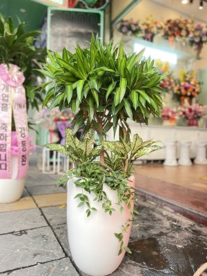 3894e8cf2afceca2b5ed