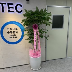 492042511_1122964466513153_6637380777497450033_n