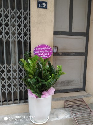 52a0ec326140851edc51