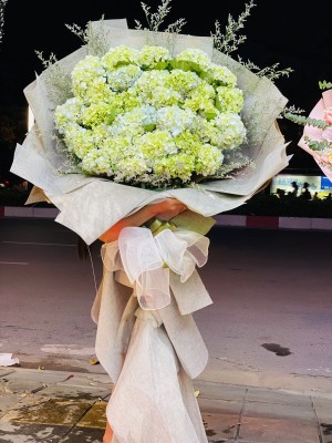 67db1c9a34d9f287abc8 - Copy