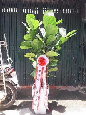 7087e92c1af8e7a6bee9