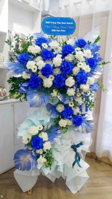 89da0cb894642c3a7575 - Copy