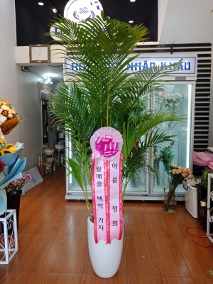 95b3a0bd958a67d43e9b