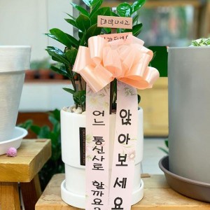 9e7b8284c96632386b77