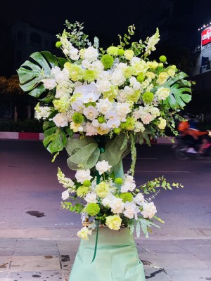 e6b3cbcfe28c24d27d9d