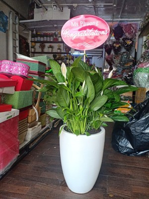 f7f169155900aa5ef311