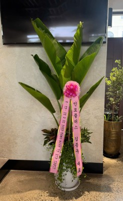 fc2d2d4e-a8de-4729-bb96-21790ce51575