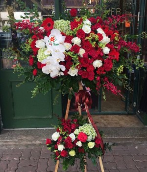 hoa-khai-trươngd-768x898