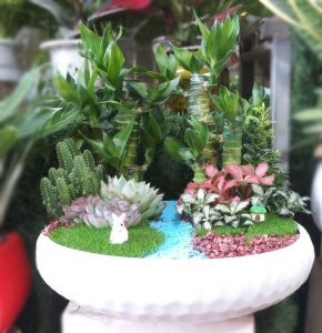 z3848998828830_d441b2e4da49c99849ba8f8d740a0b15-1-290x300