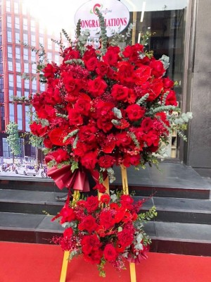 z4277655446397_bba487c23c30ba180fb182e8b2257936