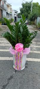 z5644313385200_63d41305a096f07c8c553100fdee8465-134x300