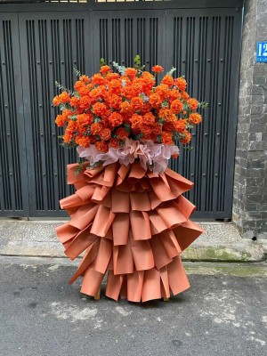 z6469504887107_8d5afc1bb1e6f7cfa8d326cde6b7de53 - Copy