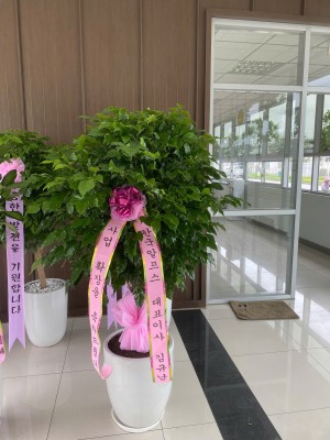 z6796663611969_336afd7467f2d444686cc9d1d5d86c33