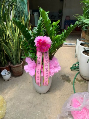 z6816209660757_26941037b0ee0a320021f6661c84e9f4