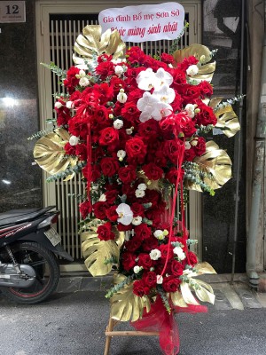 z7364272133496_ccafcf03c2c21f3d248c6cac5745488c