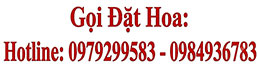 Điện hoa Khai trương